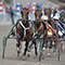 bild text