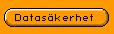 Dataskerhet